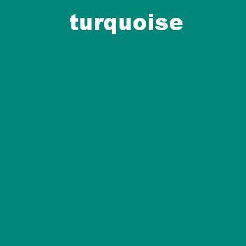 TONFLY Choice of SHELL COLOR (TONFLY option)